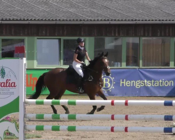 Reitturnier Gniebing-Feldbach 2023