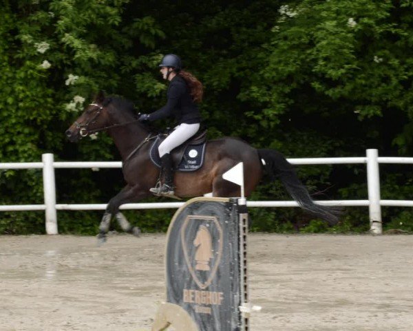 Reitturnier Losheim am See 2024