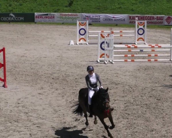Reitturnier Zeltweg-Farrach 2023