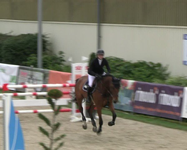 Reitturnier Kirchhellen/Stall Dieckmann 2024