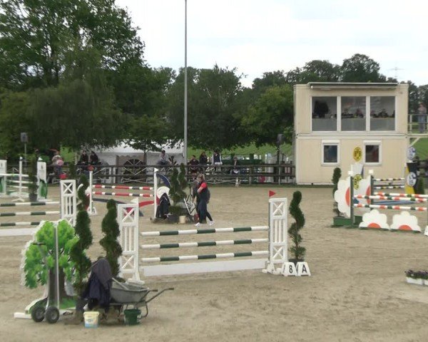 Reitturnier Kirchhellen/Stall Dieckmann 2024