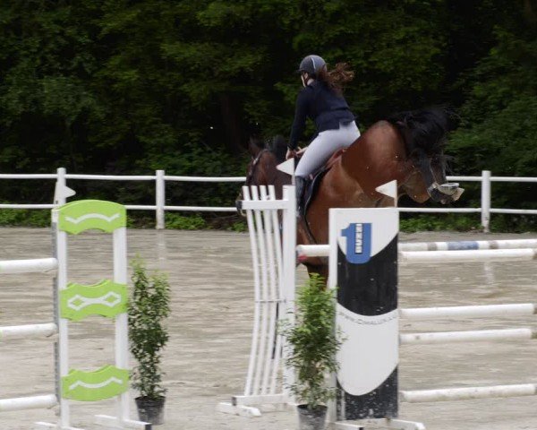 Reitturnier Losheim am See 2024