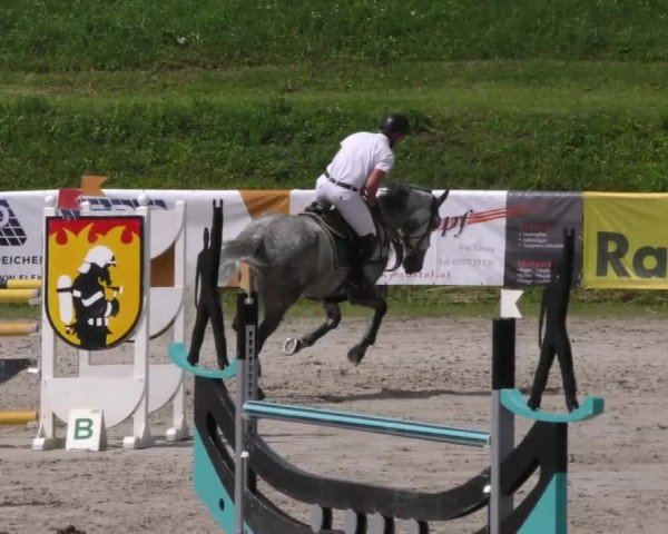 Reitturnier Zeltweg-Farrach 2023