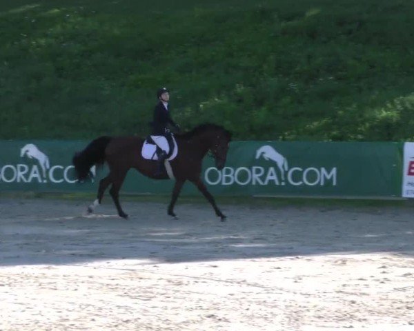 Reitturnier Zeltweg-Farrach 2023