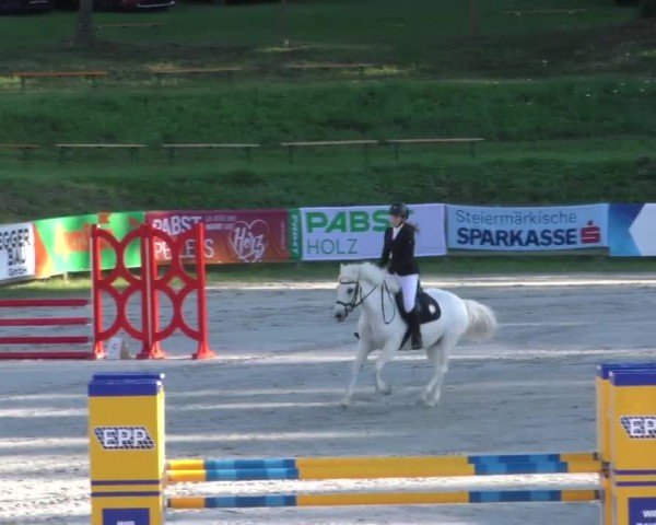 Reitturnier Zeltweg-Farrach 2023
