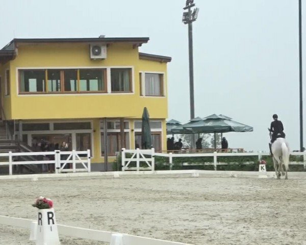 FEI Reitturnier St. Margarethen 2024