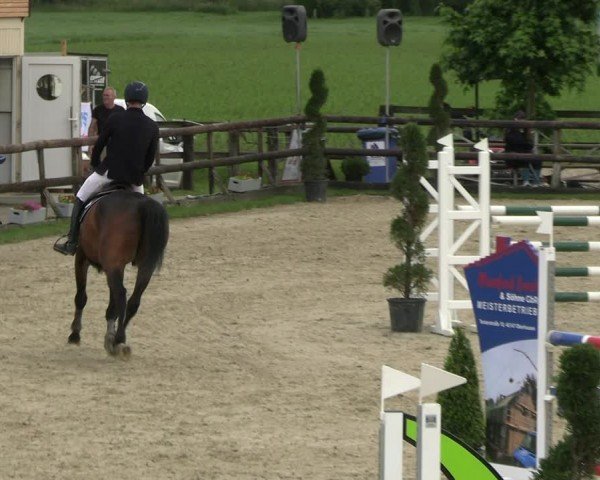 Reitturnier Kirchhellen/Stall Dieckmann 2024