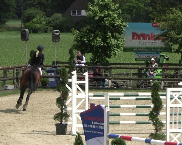 Reitturnier Kirchhellen/Stall Dieckmann 2024