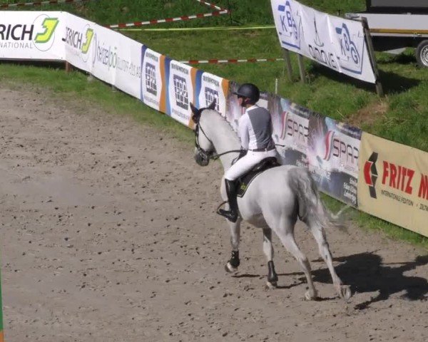 Reitturnier Zeltweg-Farrach 2023