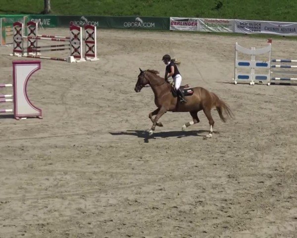 Reitturnier Zeltweg-Farrach 2023