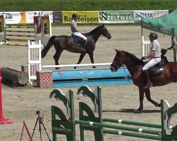 Reitturnier Zeltweg-Farrach 2023