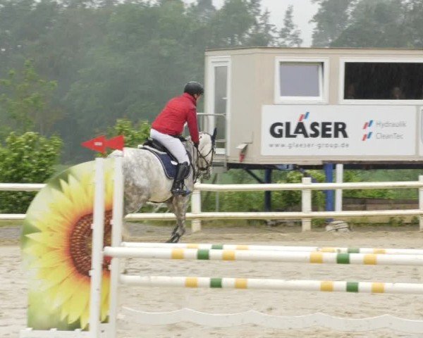 Reitturnier Nordstetten- Horb 2024