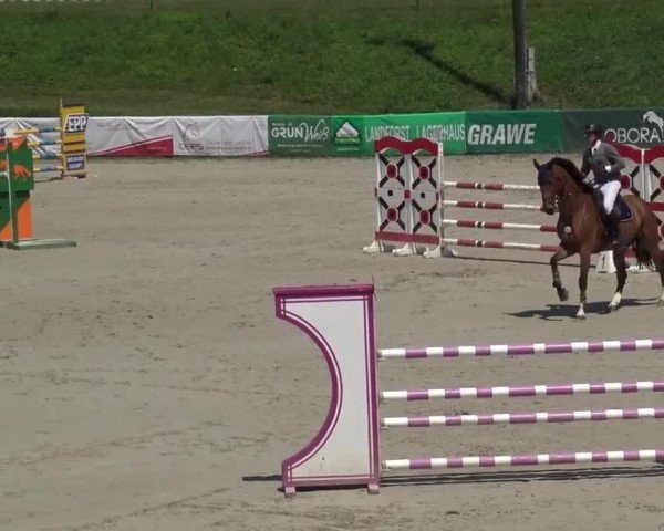 Reitturnier Zeltweg-Farrach 2023