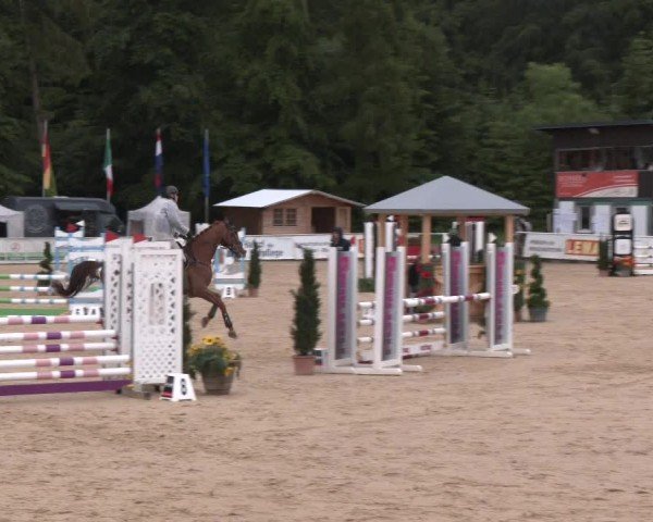 Reitturnier Ranshofen - Braunau am Inn 2024