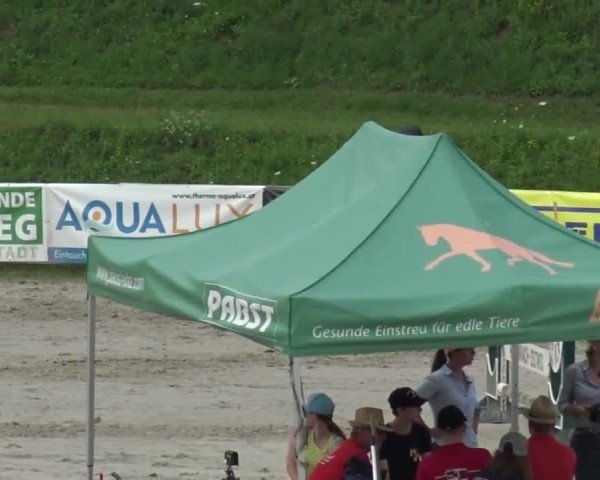 Reitturnier Zeltweg-Farrach 2023