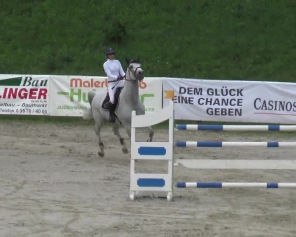 Reitturnier Zeltweg-Farrach 2023