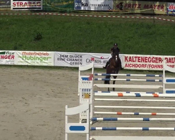 Reitturnier Zeltweg-Farrach 2023