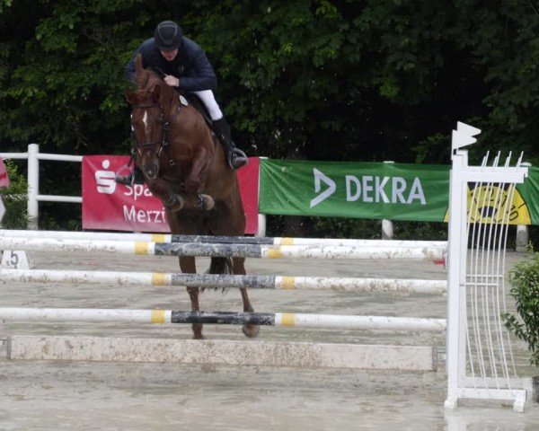 Reitturnier Losheim am See 2024
