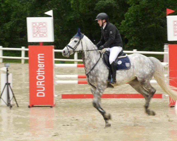 Reitturnier Nordstetten- Horb 2024