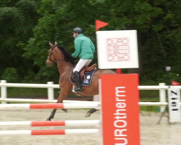 Reitturnier Nordstetten- Horb 2024