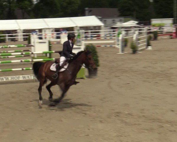 Reitturnier Dortmund-Somborn 2024
