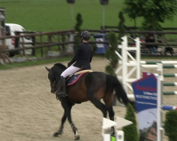 Reitturnier Kirchhellen/Stall Dieckmann 2024
