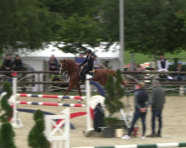 Reitturnier Kirchhellen/Stall Dieckmann 2024