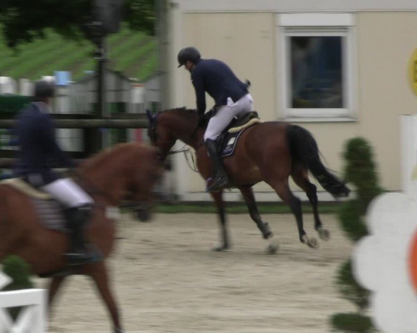 Reitturnier Kirchhellen/Stall Dieckmann 2024