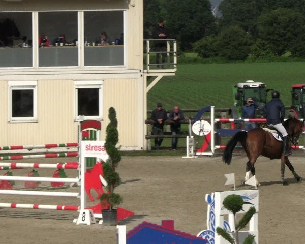 Reitturnier Kirchhellen/Stall Dieckmann 2024
