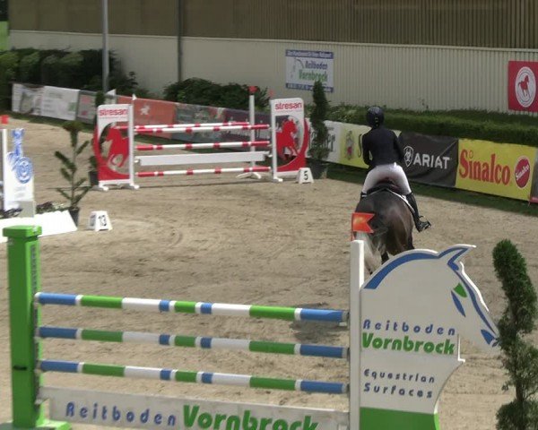 Reitturnier Kirchhellen/Stall Dieckmann 2024