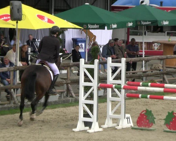 Reitturnier Kirchhellen/Stall Dieckmann 2024