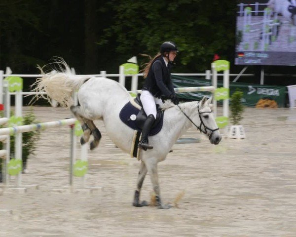Reitturnier Losheim am See 2024