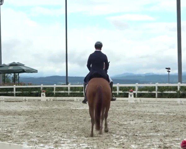 FEI Reitturnier St. Margarethen 2024