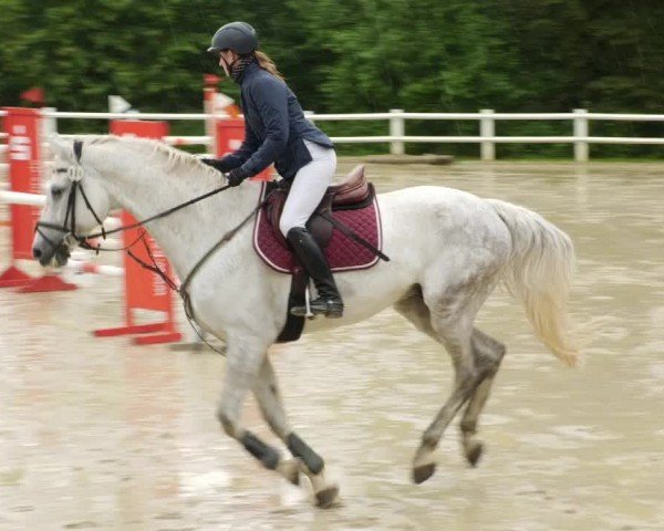Reitturnier Nordstetten- Horb 2024