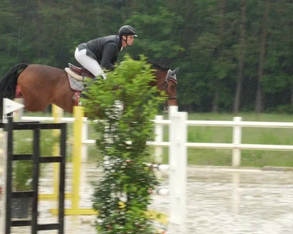 Reitturnier Nordstetten- Horb 2024