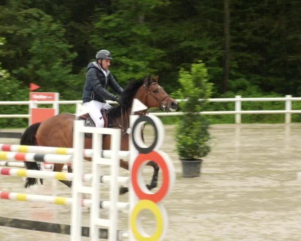 Reitturnier Nordstetten- Horb 2024
