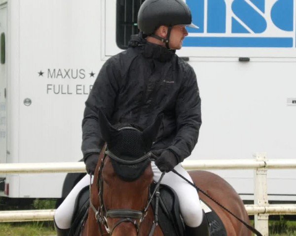 Reitturnier Nordstetten- Horb 2024