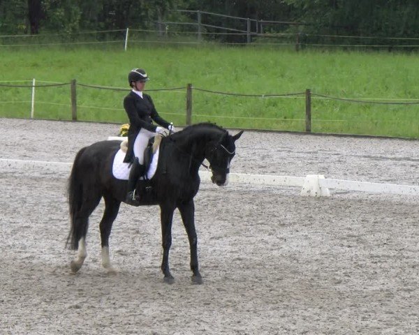 Reitturnier Gossau 2024