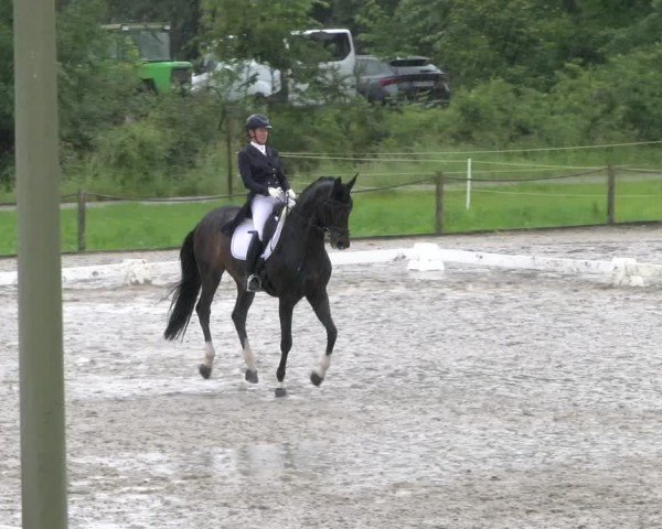 Reitturnier Gossau 2024
