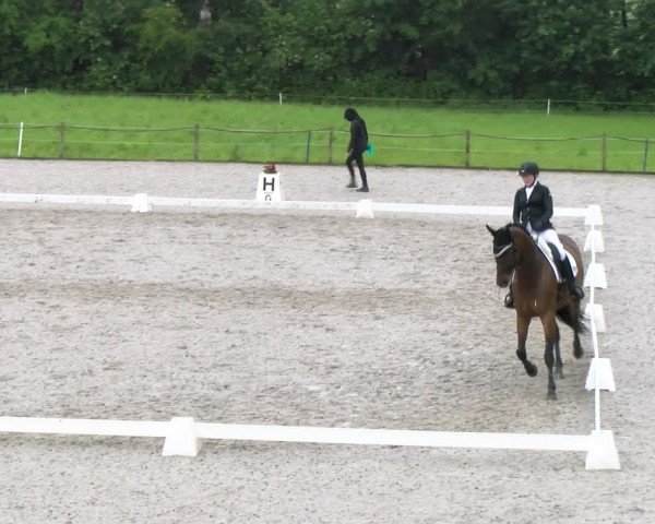 Reitturnier Gossau 2024