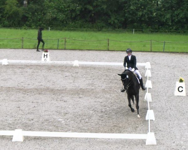 Reitturnier Gossau 2024