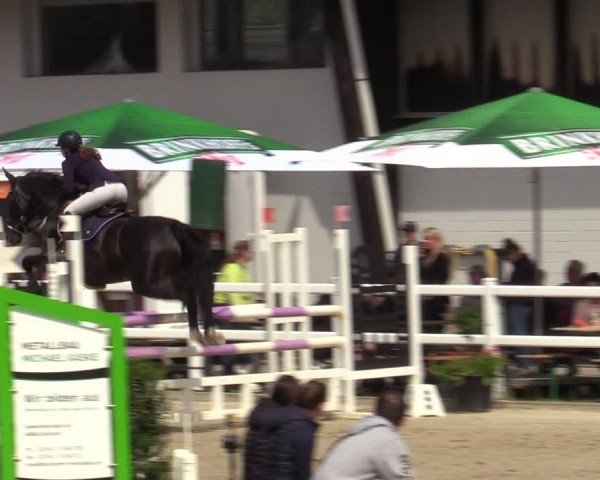 Reitturnier Dortmund-Somborn 2024
