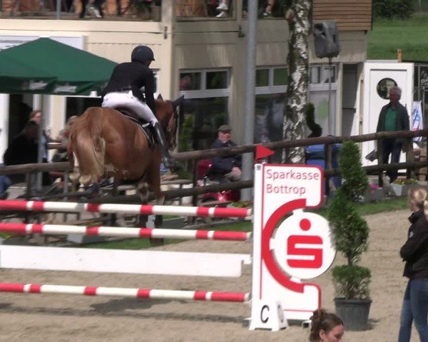 Reitturnier Kirchhellen/Stall Dieckmann 2024
