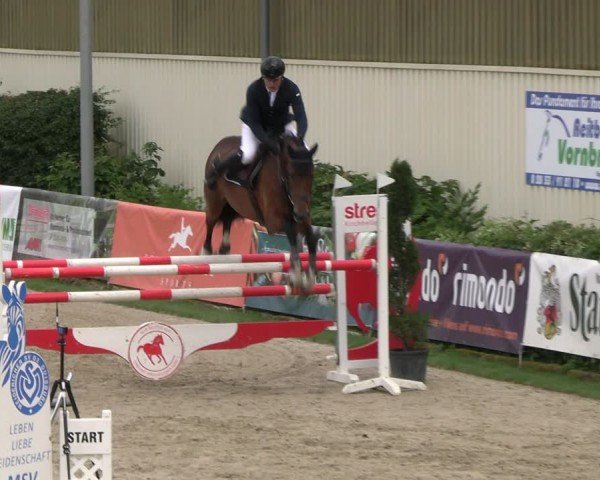 Reitturnier Kirchhellen/Stall Dieckmann 2024