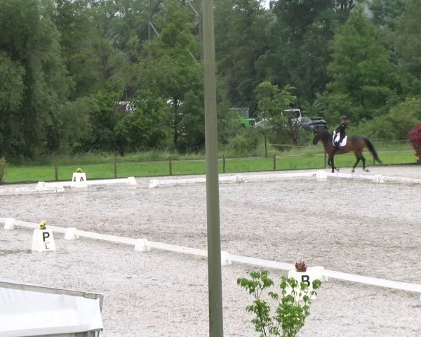 Reitturnier Gossau 2024