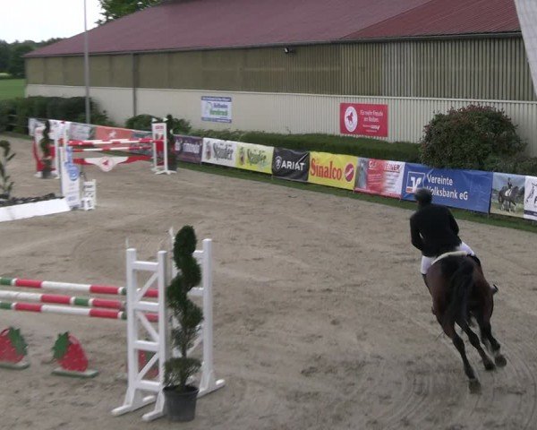 Reitturnier Kirchhellen/Stall Dieckmann 2024