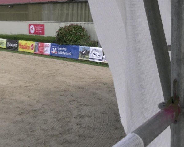 Reitturnier Kirchhellen/Stall Dieckmann 2024