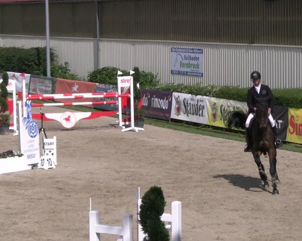 Reitturnier Kirchhellen/Stall Dieckmann 2024