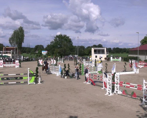 Reitturnier Kirchhellen/Stall Dieckmann 2024