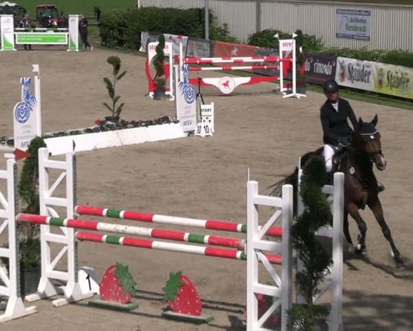 Reitturnier Kirchhellen/Stall Dieckmann 2024